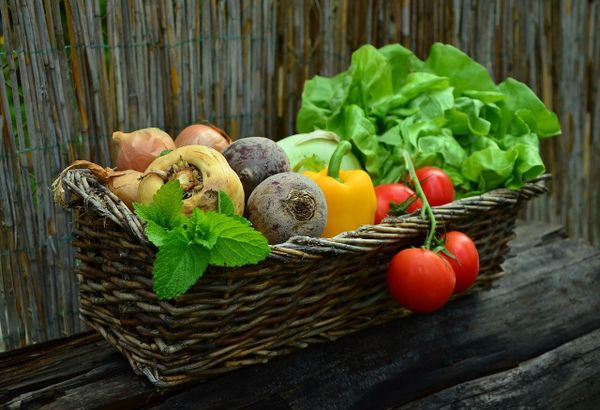 Postaw na catering dietetyczny w Gdańsku